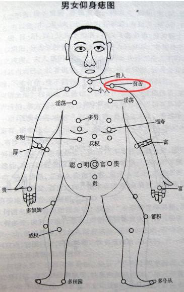 腿 痣|痣说人生：腿上痣的位置与命运图